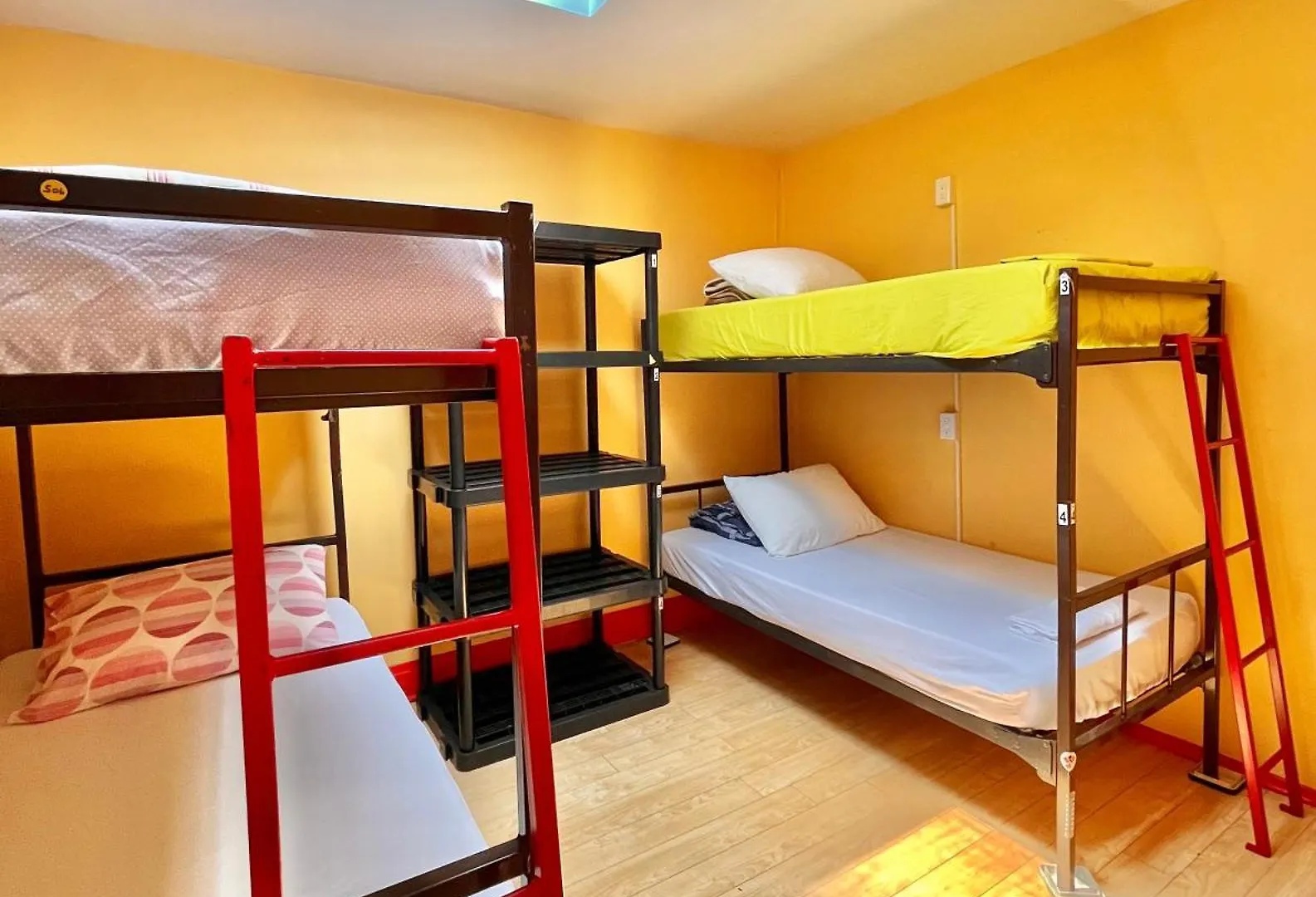 The Only Backpacker'S Inn (Adults Only) Toronto 2*,  Canada