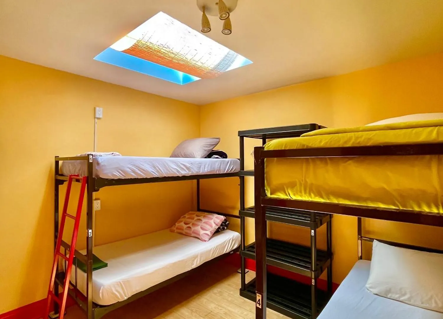 The Only Backpacker'S Inn (Adults Only) Toronto Kanada
